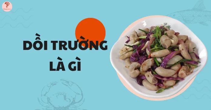 Dồi trường là gì? Cách làm sạch và dồi trường làm món gì ngon