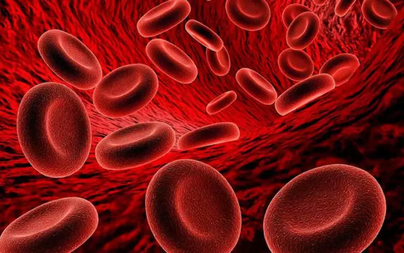 Dừa nước giúp khắc phục tình trạng bị thiếu máu