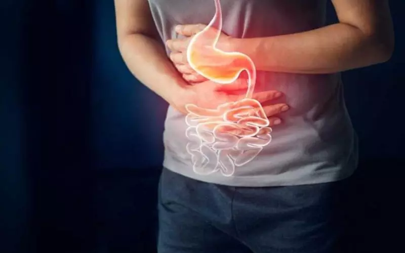 Bổ sung vitamin C hay các chất xơ để cải thiện đường tiêu hóa