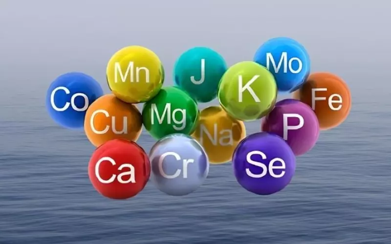 Dừa nước chứa nhiều chất quan trọng trong quá trình cân bằng chất điện giải