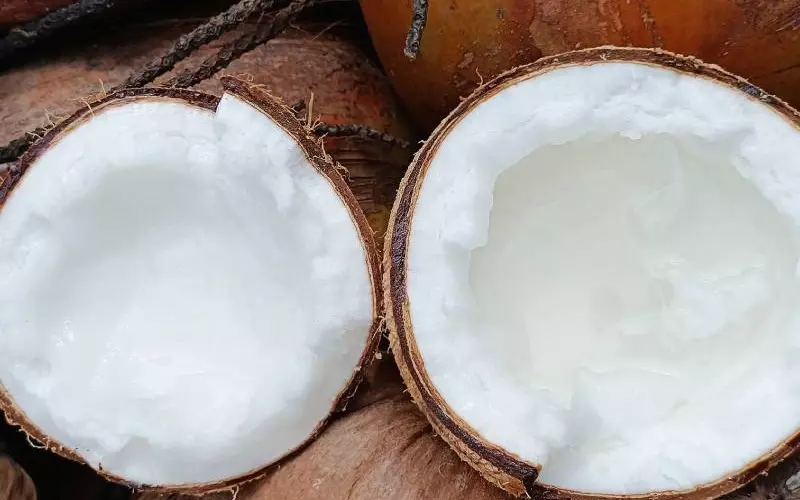 Các bạn có thể để dừa sáp lên ngăn đá tủ lạnh để bảo quản được lâu hơn