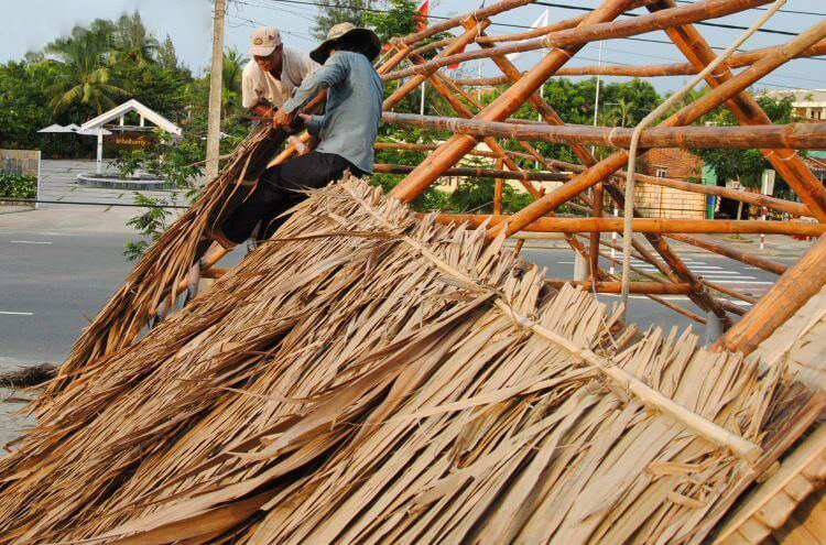 Người dân Nam Bộ thường dùng lá dừa nước để lợp mái nhà
