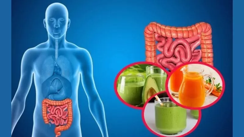 Áp dụng chế độ ăn nhiều chất xơ và bổ sung prebiotics sẽ giúp tăng cường sức khỏe đại tràng