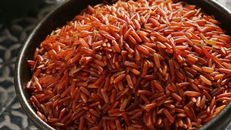 Không giống như gạo huyết rồng, có khá nhiều đối tượng không nên ăn gạo lứt