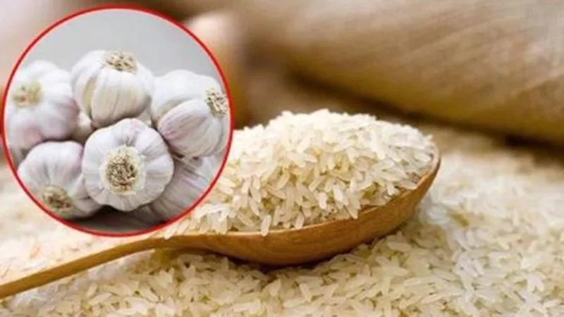 Đặt một vài tép tỏi đã lột vỏ lên trên hộp đựng gạo rồi đậy nắp thật kín