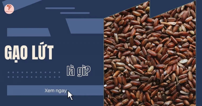 gạo lứt là gì