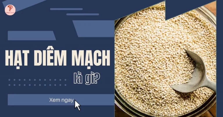 hạt diêm mạch là gì