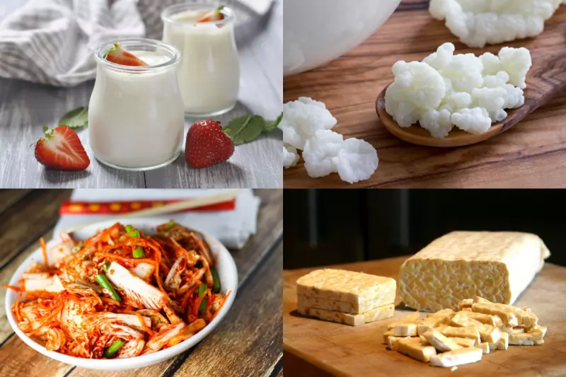 Các thực phẩm lên men đều khá giàu chất dinh dưỡng cũng như có lợi cho sức khỏe