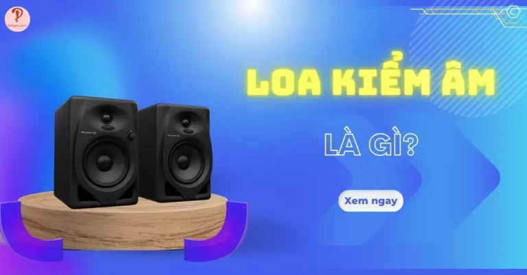loa kiểm âm là gì