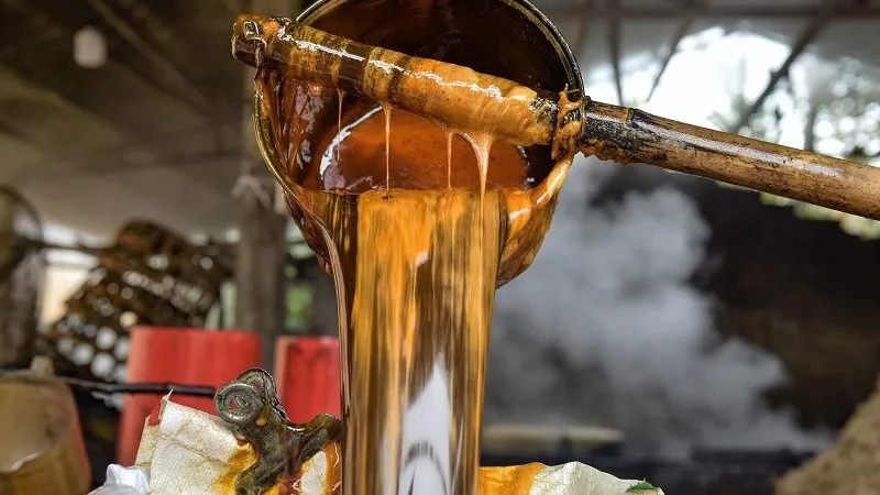 Để nguội và rót mật mía vào hộp đựng