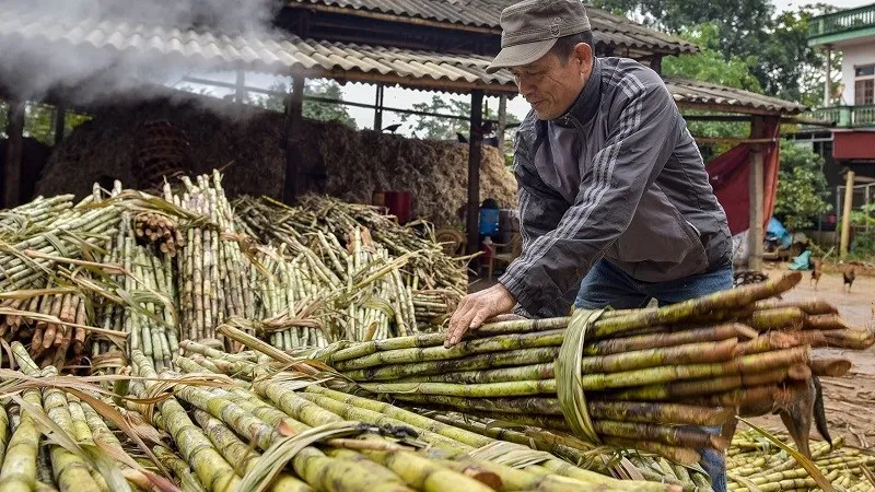 Lọc nước mía