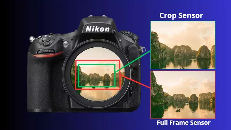 Sự khác nhau giữa hình ảnh cho ra từ máy ảnh crop và máy ảnh full frame