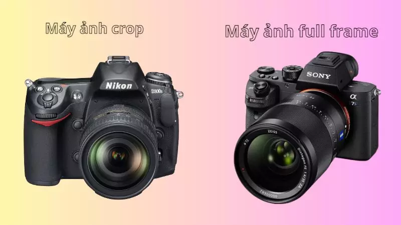 Nên mua máy ảnh crop hay máy ảnh full frame