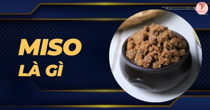 miso là gì
