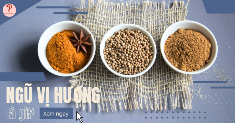 ngũ vị hương là gì