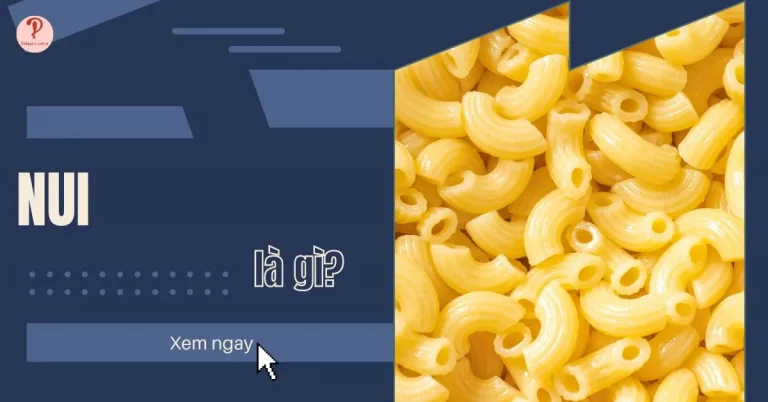 nui là gì
