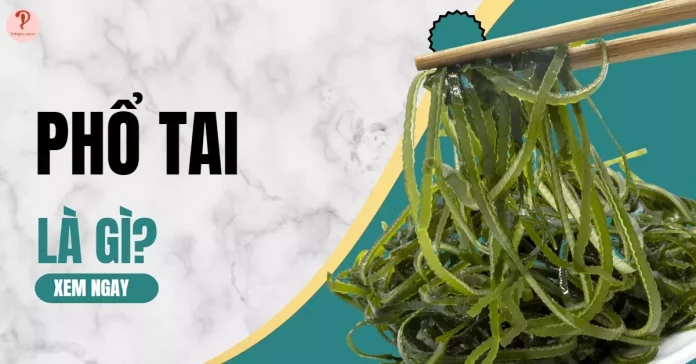 phổ tai là gì?