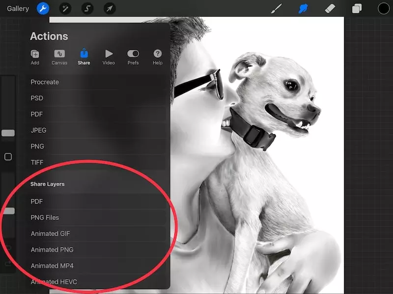 Procreate hỗ trợ xuất, nhập các tệp tin có định dạng khác nhau