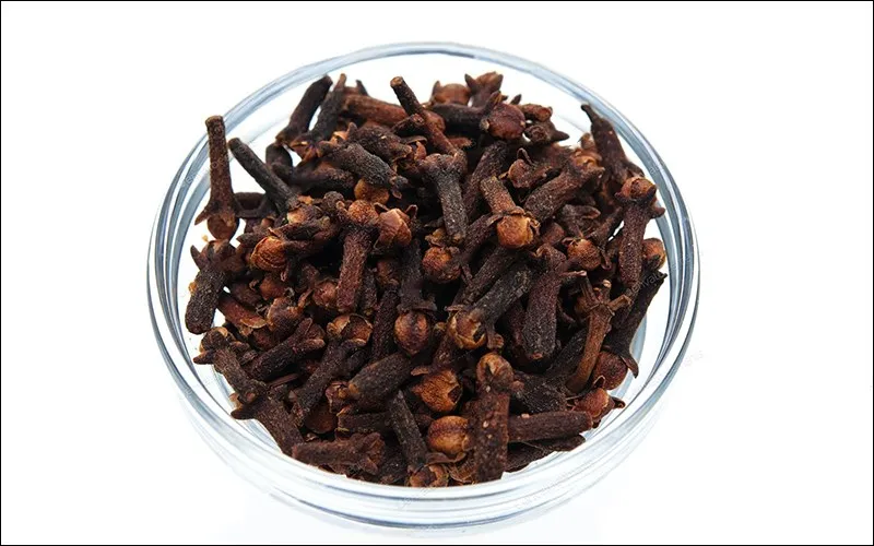 Quả khô nẻ mở răng khi chín sẽ mở ở đỉnh lá noãn