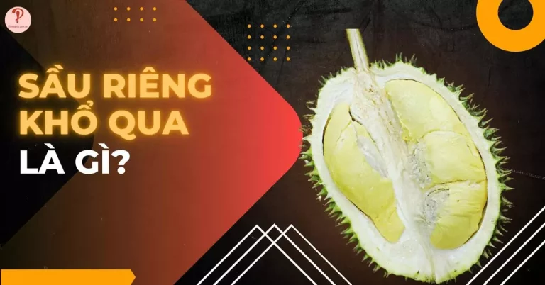 sầu riêng khổ qua là gì