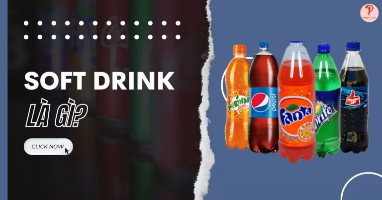 soft drink là gì