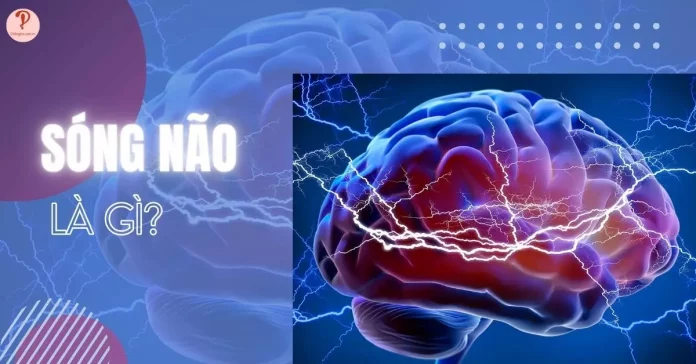 sóng não là gì