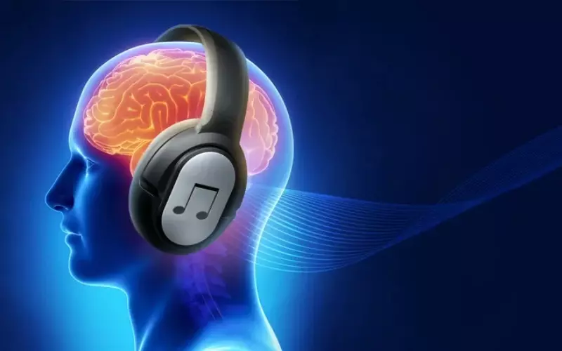 Nhạc sóng não đem lại nhiều lợi ích cho cơ thể đặc biệt là tâm trí và não bộ