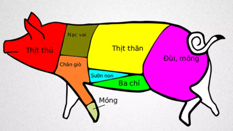 Thịt thăn heo thường được cắt từ bắp thịt