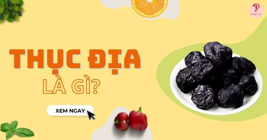 thục địa là gì