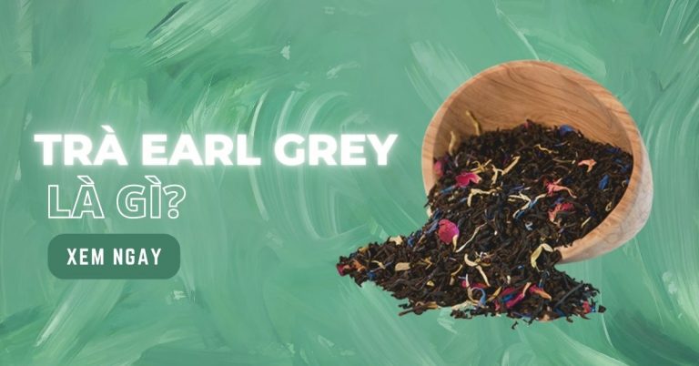 Trà Earl Grey là gì? Tác dụng và cách pha trà Earl Grey chuẩn vị