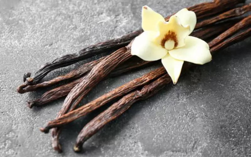 Vanilla có khá nhiều công dụng