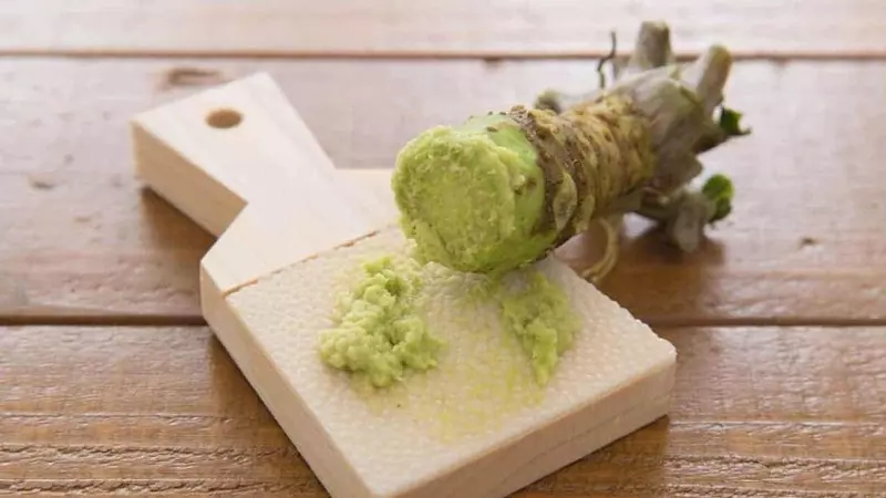 Wasabi mọc tự nhiên dọc theo lòng sông và sườn núi của Nhật Bản
