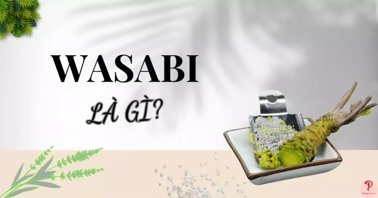 wasabi là gì