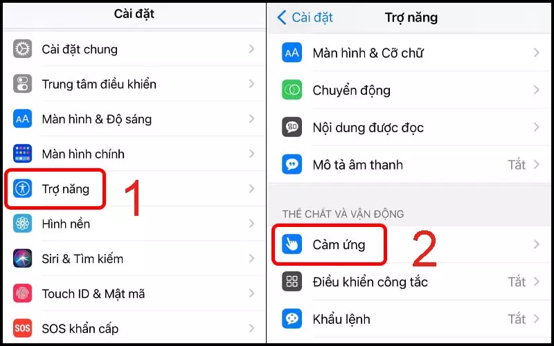 Chọn mục Cảm ứng