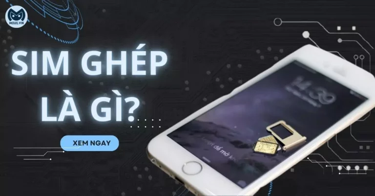 SIM-ghep-la-gi-thumb