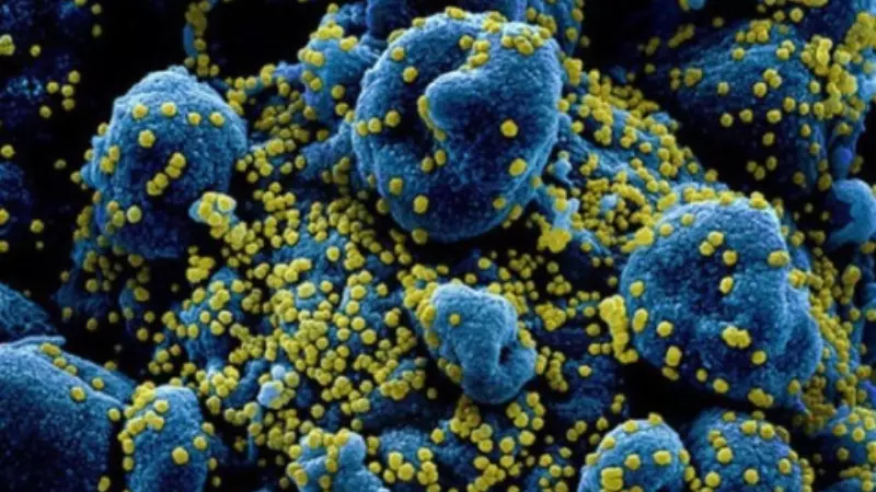 Hội chứng cơn bão Cytokine là trạng thái mà cơ thể phản ứng với các tác nhân xâm nhập