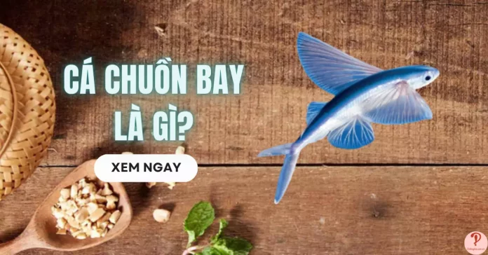 cá chuồn bay