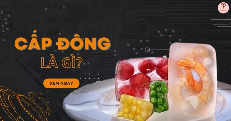 cap-dong-la-gi-thumb