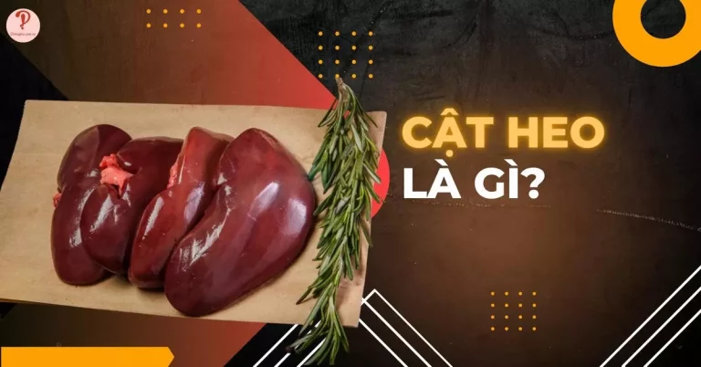 cật heo là gì