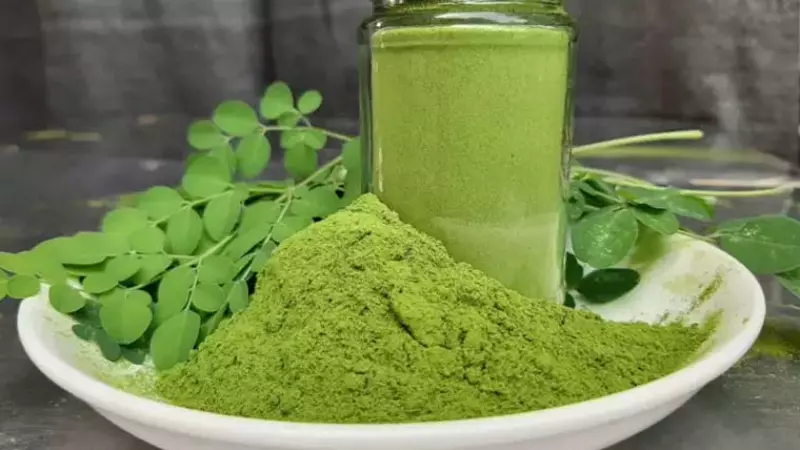 Chùm ngây hỗ trợ chữa u xơ tiền liệt tuyến