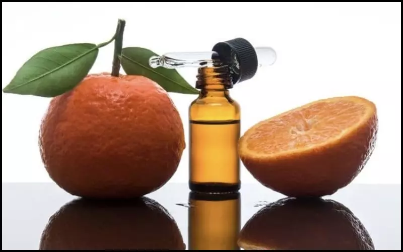 Mùi vị của các loại trái cây thuộc Citrus mang đến sự thư giãn và thu hút