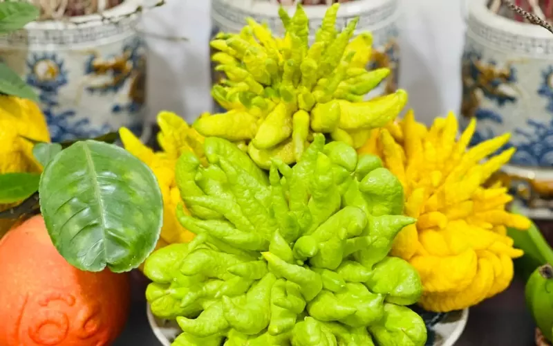 Phật thủ cũng cung cấp nhiều vitamin C và chất xơ