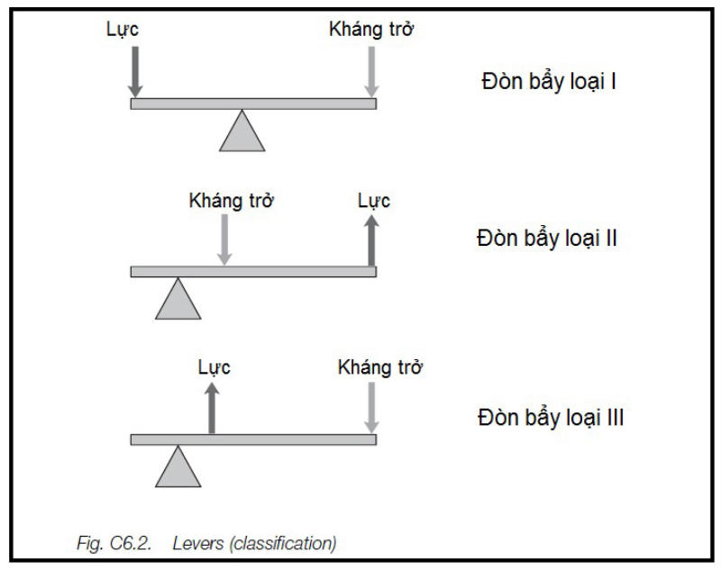 3 loại đòn bẩy