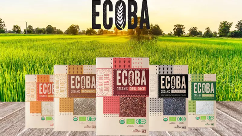 Gạo Ecoba được đóng gói bắt mắt với hạt cơm mềm mịn.