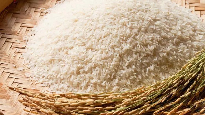 Để chọn gạo hữu cơ chất lượng, hãy tìm nguồn cung cấp tin cậy.
