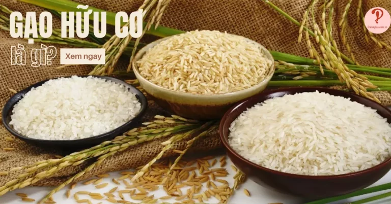 gạo hữu cơ là gì