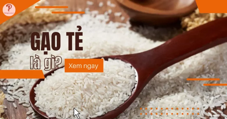 gạo tẻ là gi