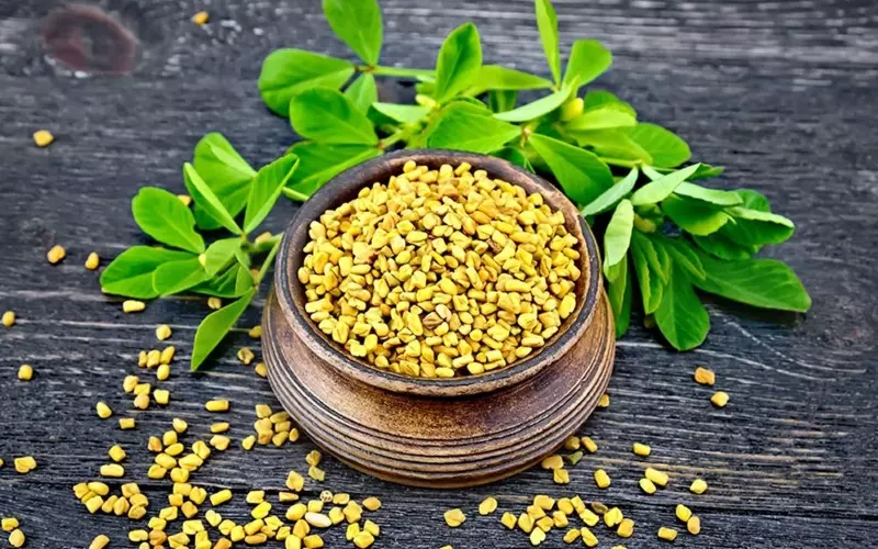 Cỏ ca ri được sử dụng nhiều trong ẩm thực của đất nước Ấn Độ