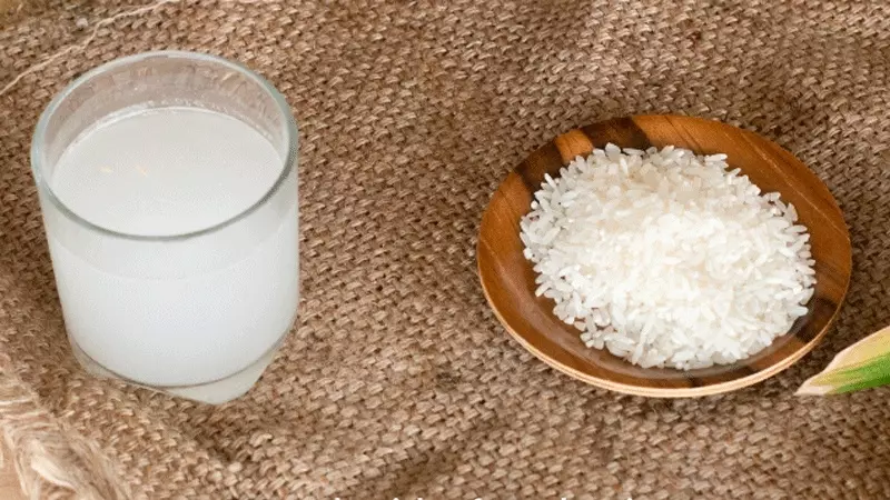 Gia vị lên men vi sinh