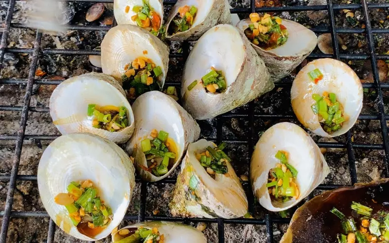 Ốc vú nàng là loài ốc sống ở vùng nước sâu và ở những địa hình hiểm trở